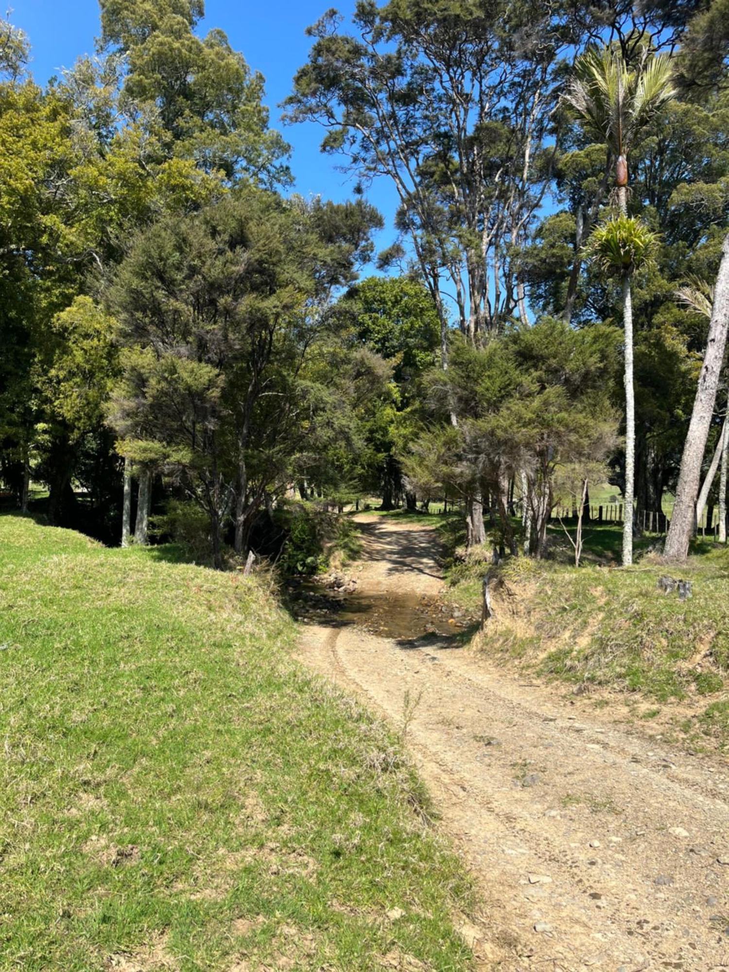 White Star Station Farm Holiday Park Coromandel Zewnętrze zdjęcie