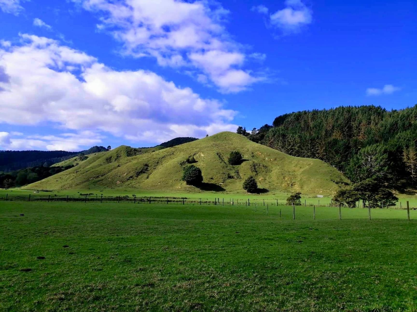 White Star Station Farm Holiday Park Coromandel Zewnętrze zdjęcie